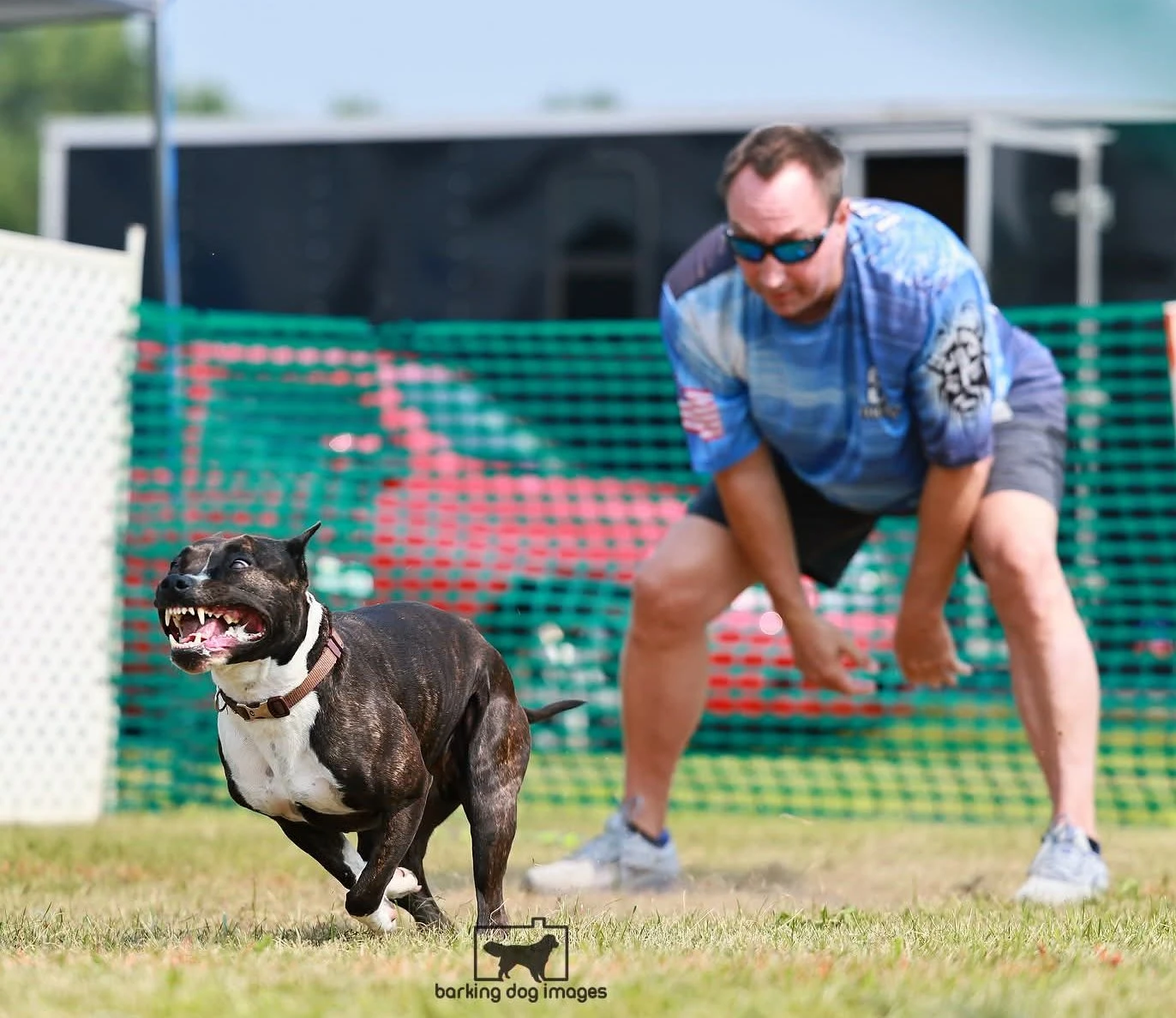 Ellie running Fast Cat