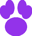 Agility.fast Logo